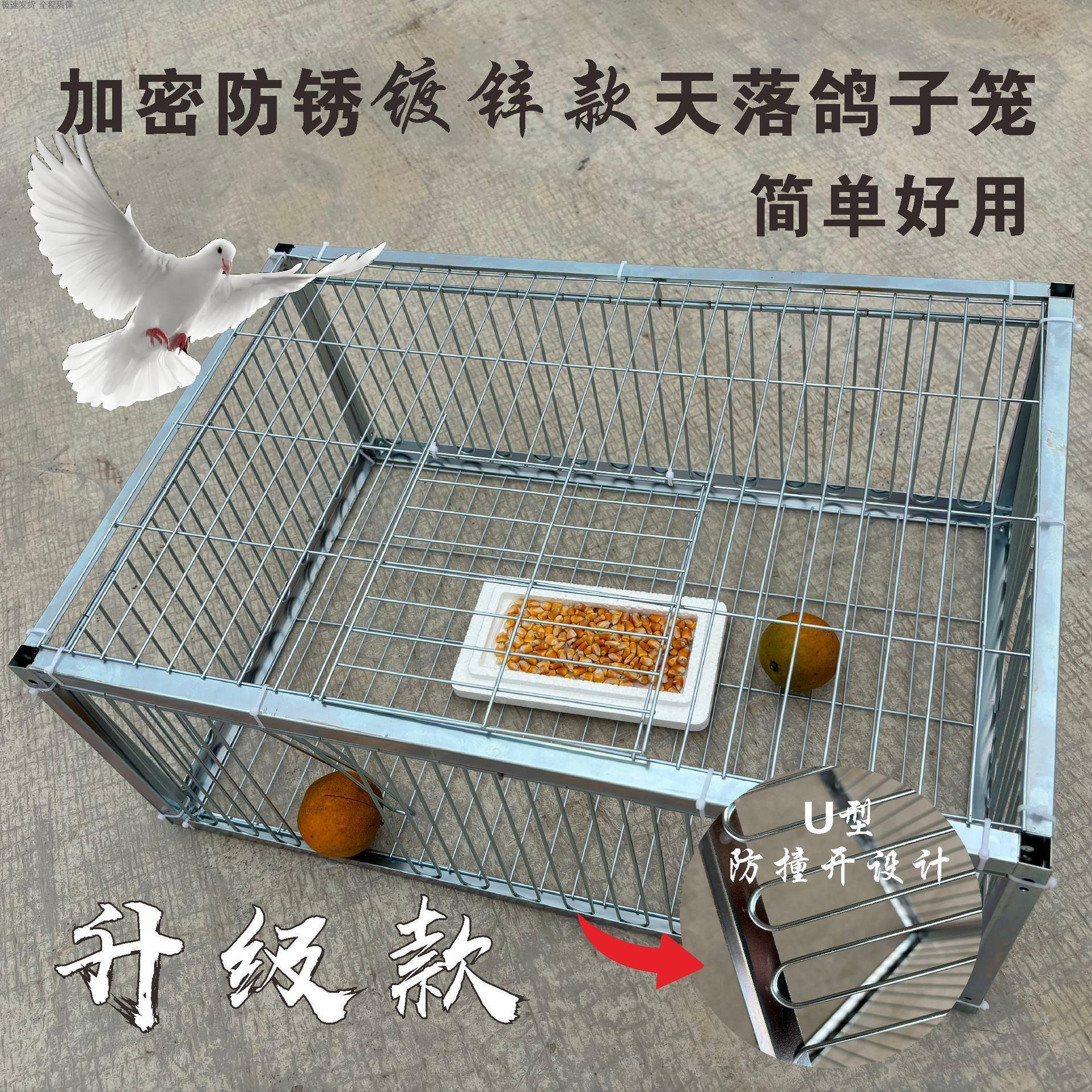 鸽子诱捕器天落笼祇进不出鸽子笼加密收鸽笼活络门户外自动收鸽器