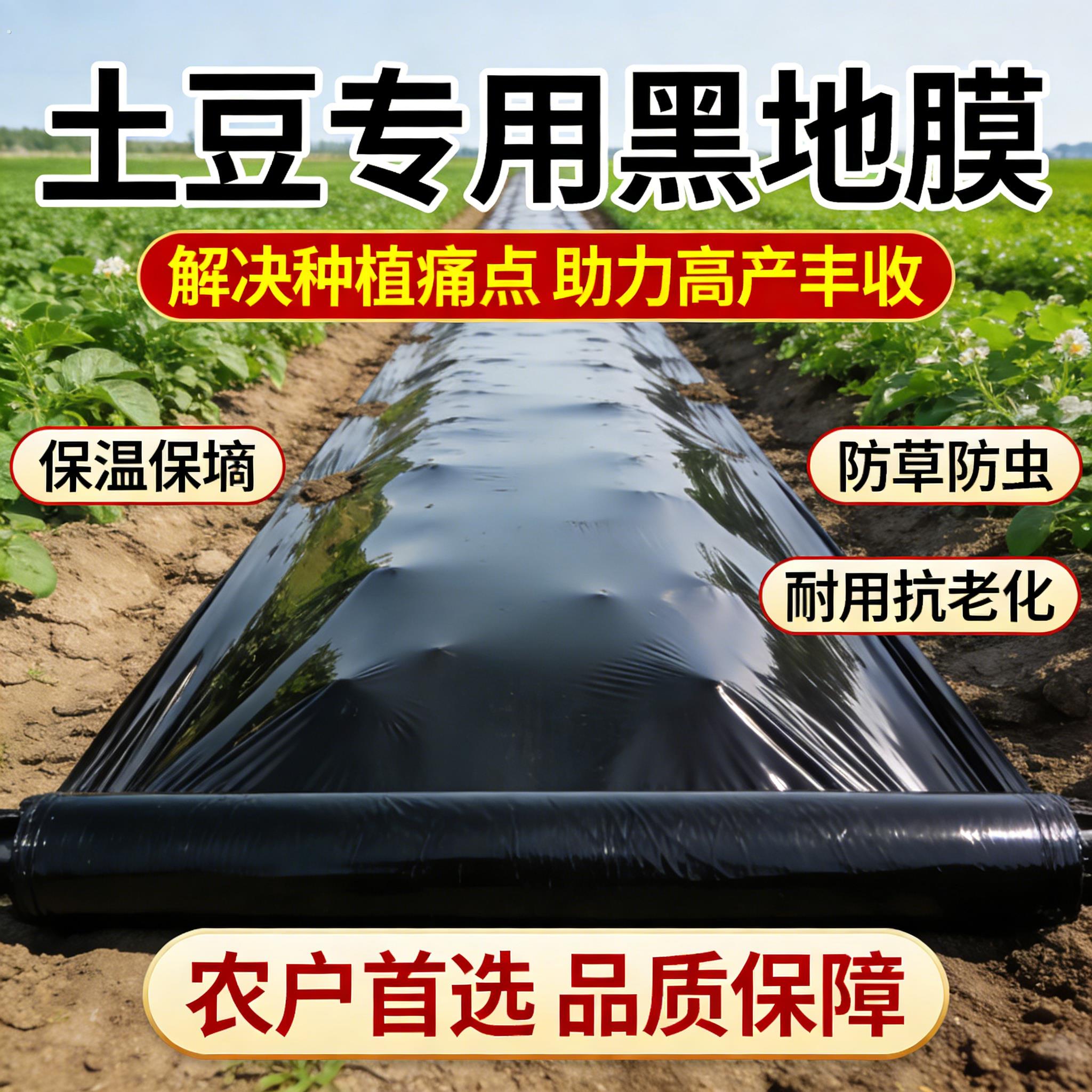 土豆专用地膜黑色加厚塑料薄膜农用种植土豆一次性黑膜盖菜防草布
