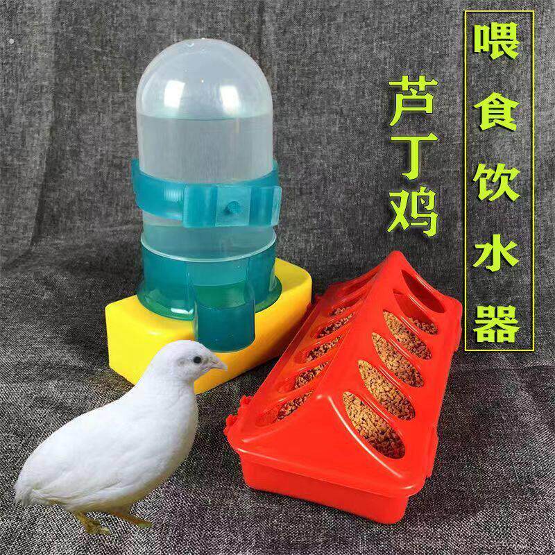 芦丁鸡食槽自动饮水器喂食器小鸡槽子雏鸡鹌鹑自动饮水器下料器