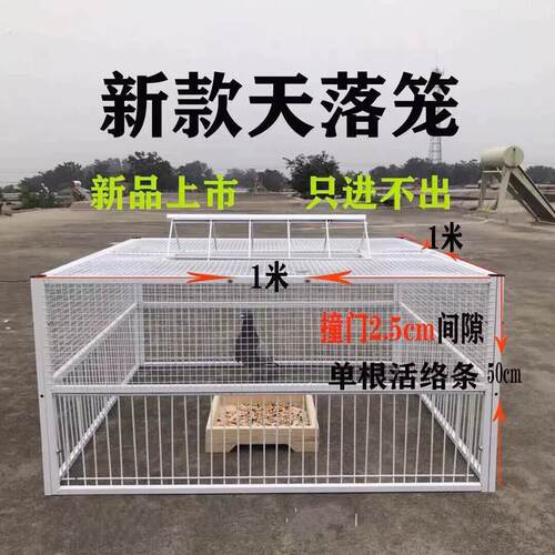 鸽子诱捕器天落笼祇进不出鸽子笼加密收鸽笼活络门户外自动收鸽器