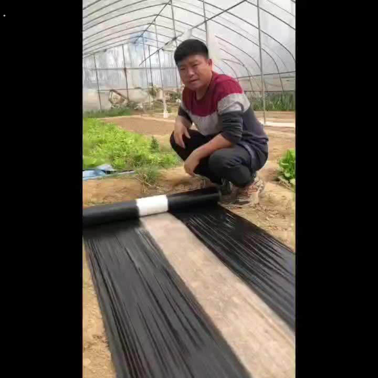 黑白相间地膜一次性膜白加黑地膜除草黑地膜黑色黑白地膜农用地膜