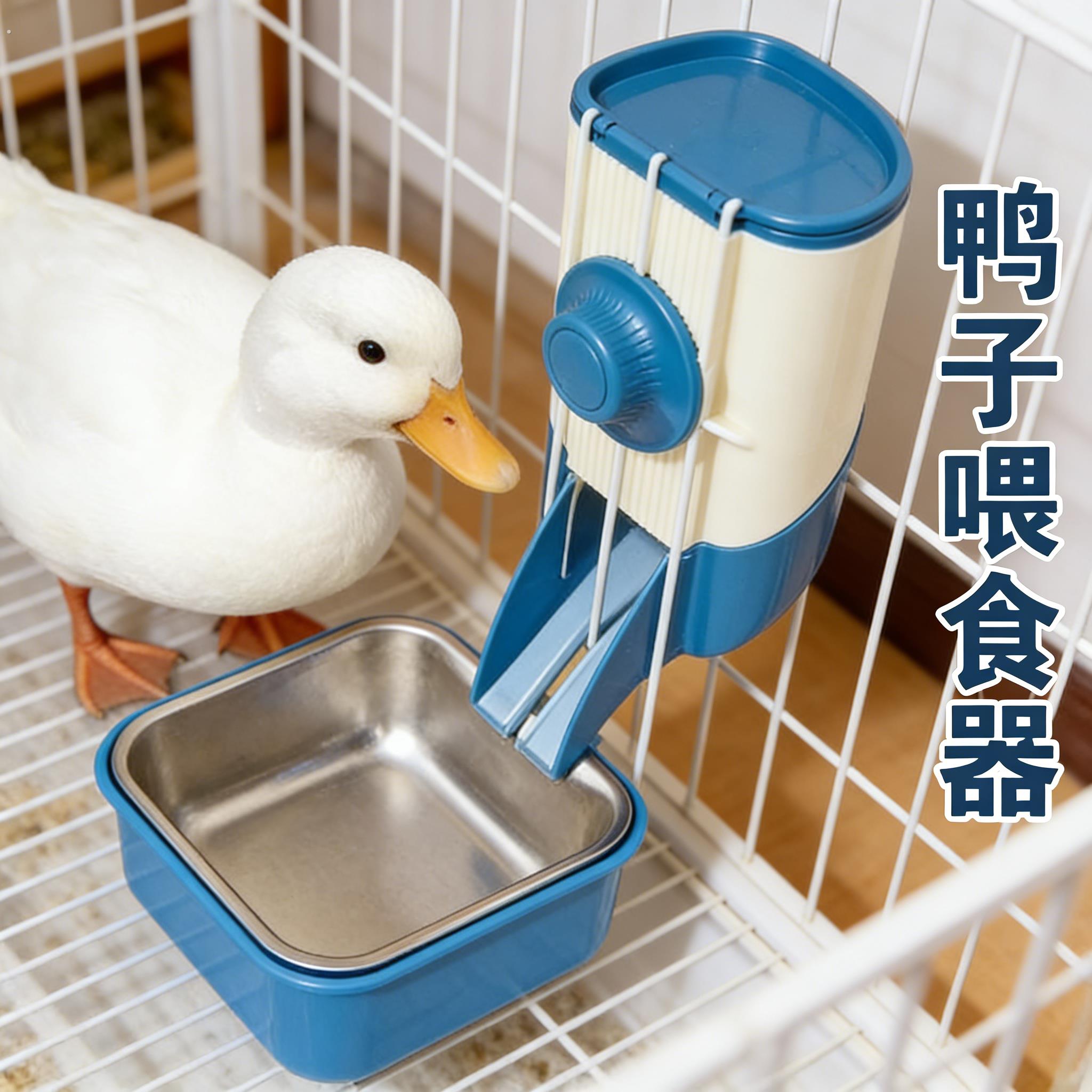 侏儒兔鸭子自动喂食器防浪费食盆宠物喂水器喂食槽柯尔鸭专用饮水