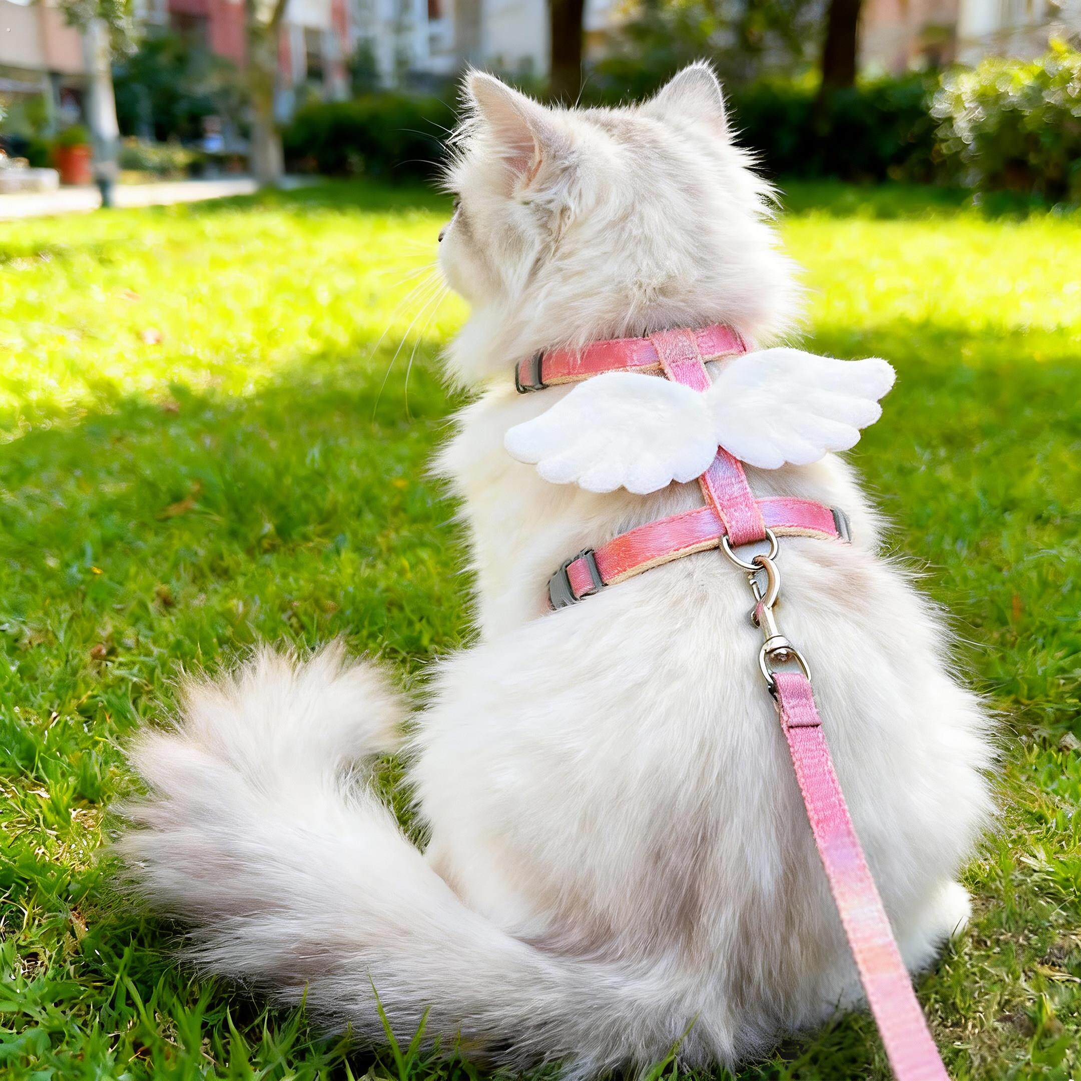 猫咪牵引绳工字型遛猫绳可调节幼猫外出专用猫绳子防挣脱不勒脖