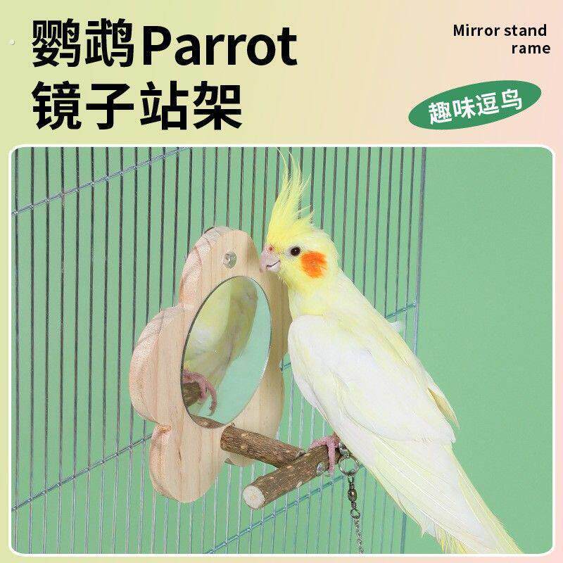 不锈钢鸟食杯磨砂站杆小鸟用喂食器鹦鹉鸟食盒带架饲料盒鸟笼配件