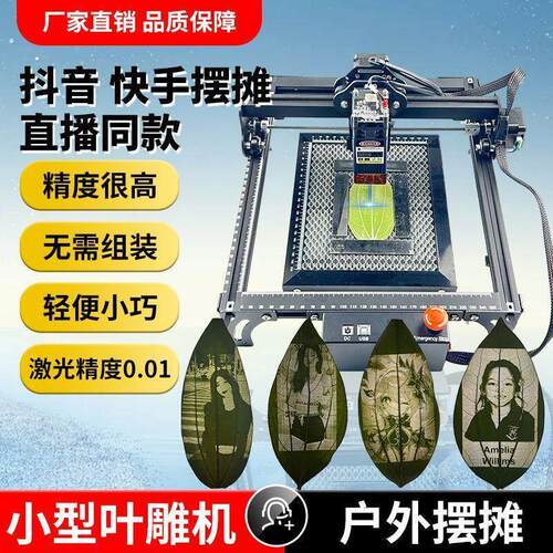 激光雕刻桌面小型全自动切割机大功率叶雕摆摊树叶携带方便打标机