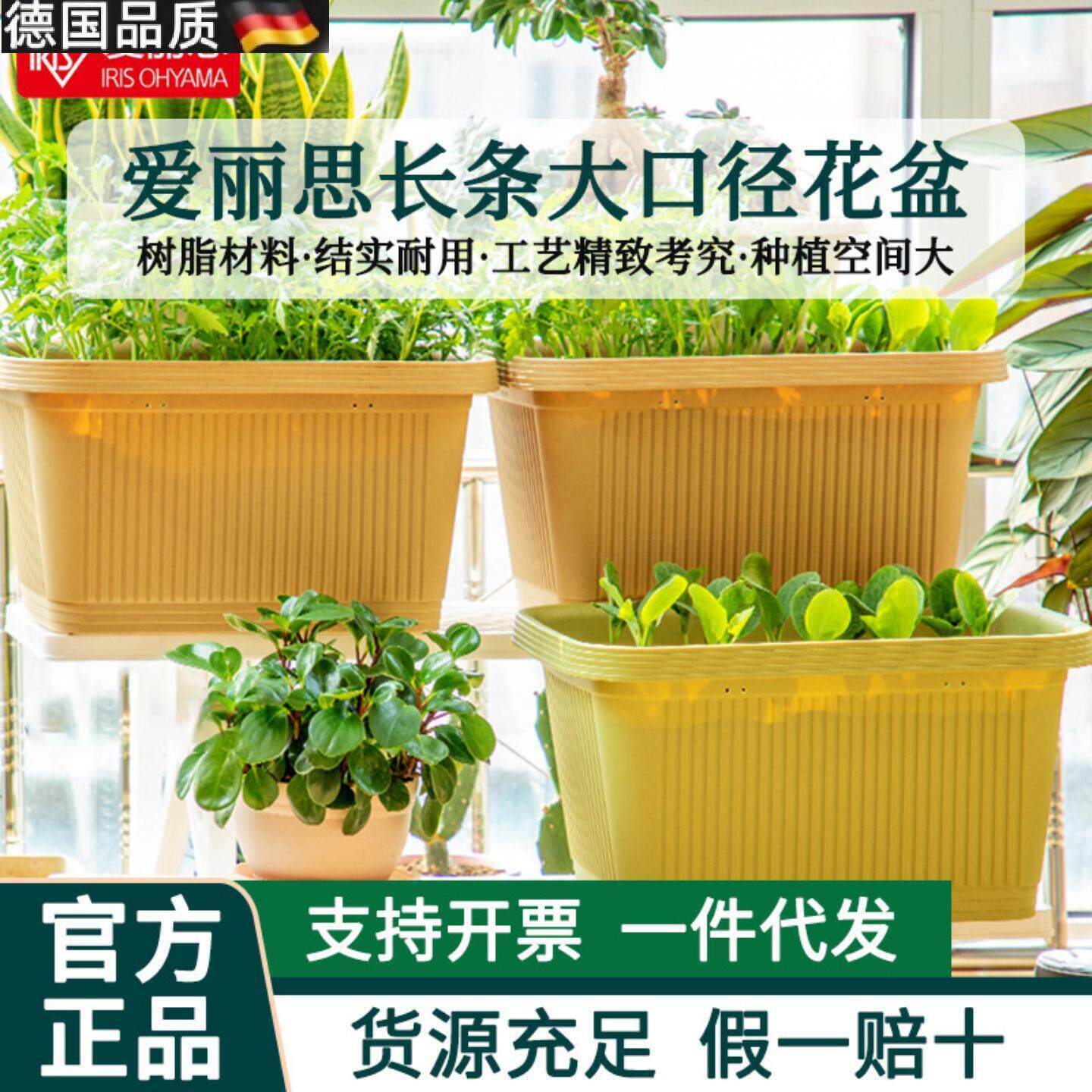 菜盆种植阳台长方形大号蔬菜种植盆大号长条盆爱丽丝家庭阳台种菜