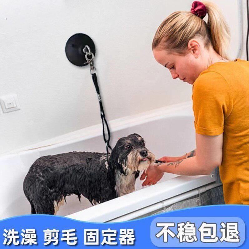 猫咪防跑绳狗狗剪毛美容台吊绳宠物店专用洗澡固定器带吸盘狗桩