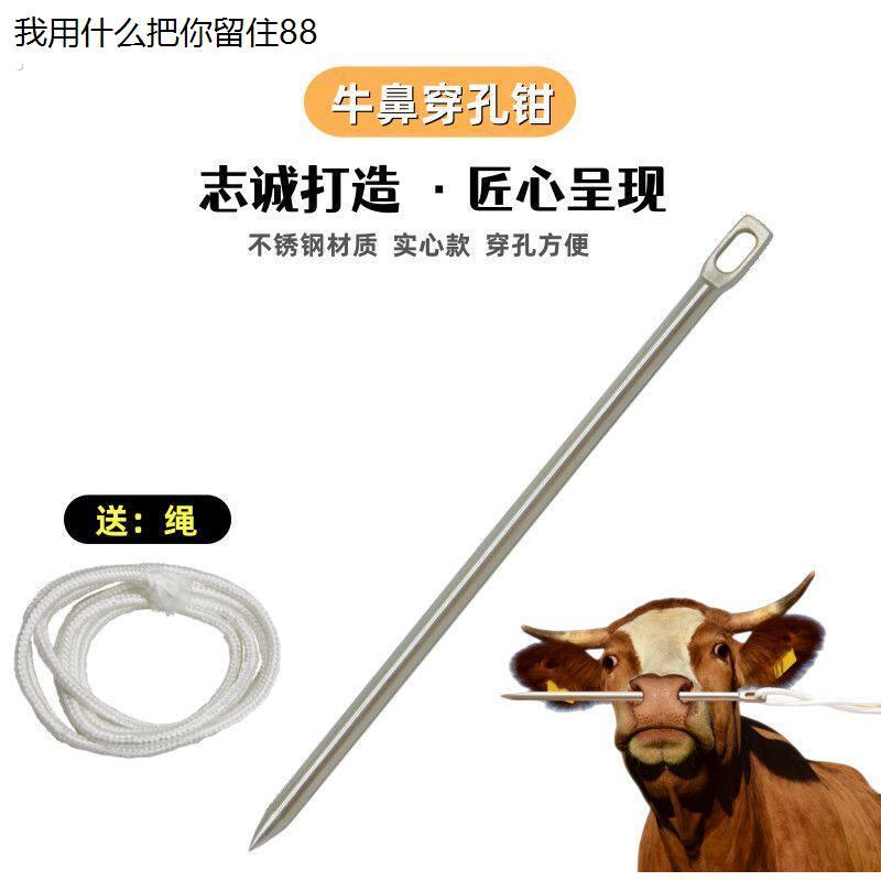 牛鼻穿孔针不锈钢牛鼻针牛鼻环工具穿牛鼻子的针穿牛鼻神器牛鼻绳