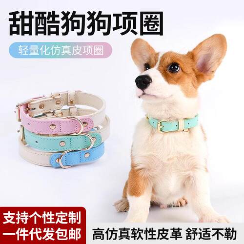 狗狗项圈皮质防丢防勒脖圈狗狗牵引遛狗绳子脖套中小型犬宠物用品