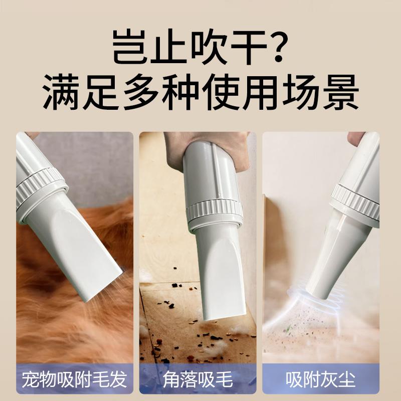 宠物吹水机狗狗吹风机大功率低音店家用烘干箱大型犬专用狗毛神器