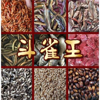 斗雀王 秘制画眉鸟食饲料提性壮膘手工2号打彩斗鸟料唱鸟包邮500g