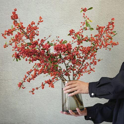 【云花甄选】野趣山货火棘果家居装饰客厅水养插花云南直发真鲜花