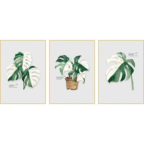 起贝 北欧风客厅白锦龟背竹装饰画植物树叶挂画餐厅小清新绿植画