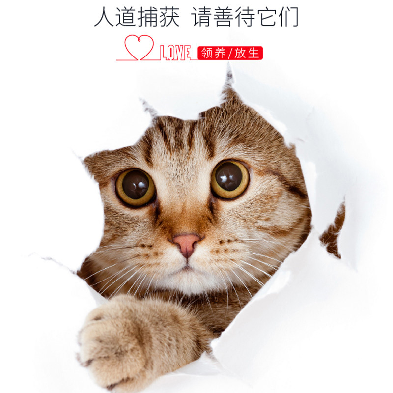 户清捕寻猫笼大号人道捕猫器不易夹伤捉猫工具折叠抓猫器猫笼子