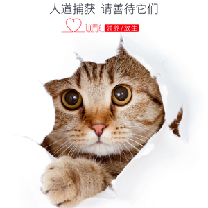 户清捕寻猫笼大号人道捕猫器不易夹伤捉猫工具折叠抓猫器猫笼子