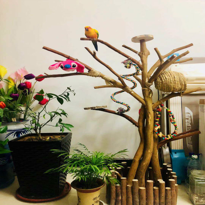 天然枯树枝鸟爬架耐磨金刚鹦鹉站架玄凤宠物实木爬梯中大型鸟架子