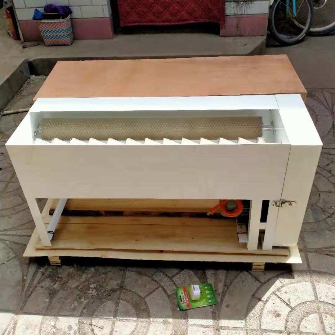 自动小型商洗蛋机鸡蛋清洗机鸭蛋清洗机新型毛刷洗蛋机蛋品清洗机