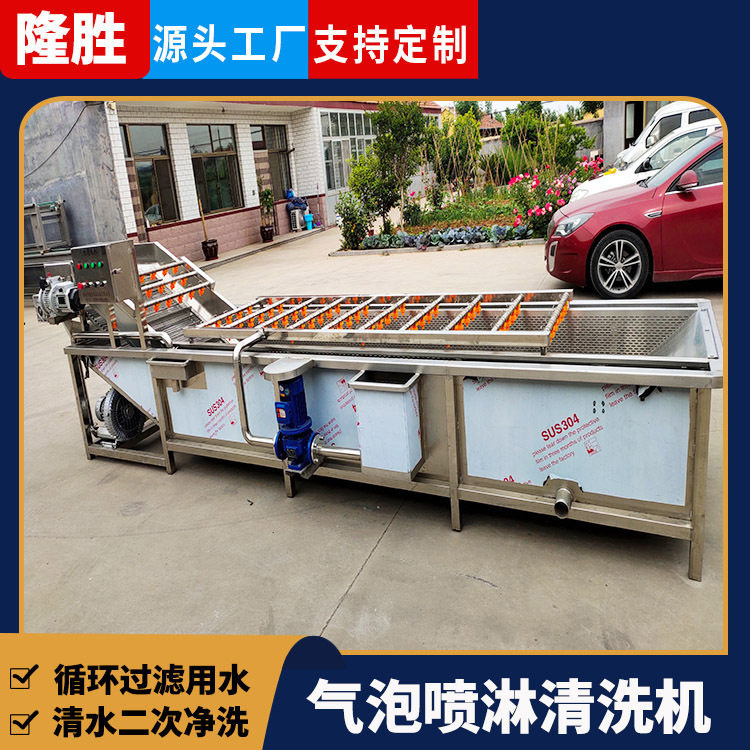 隆胜全自动大枣清洗风干线