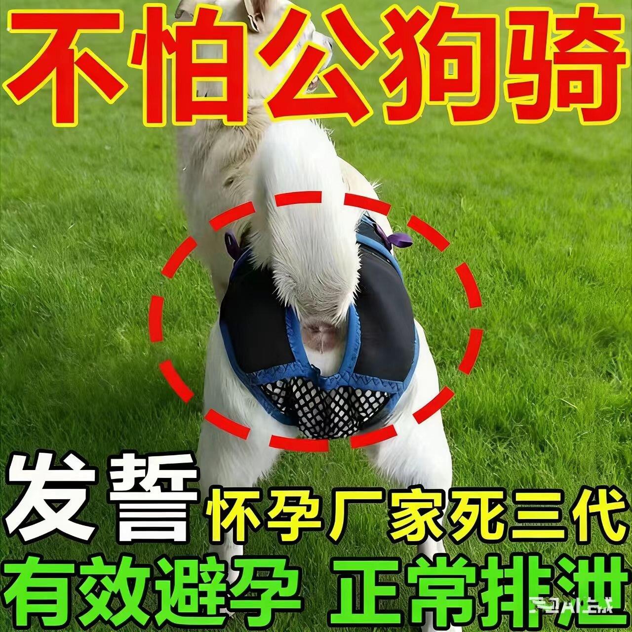 狗狗避孕裤可排泄裤防狗发情骚扰裤防交配裤生理裤母狗防交配神器