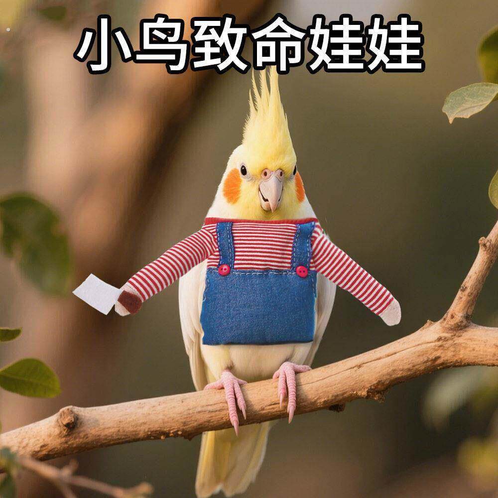 鹦鹉搞笑衣服鸟用品鸟衣服宠物鸟变身装宠物搞怪衣服小鸟致命娃娃
