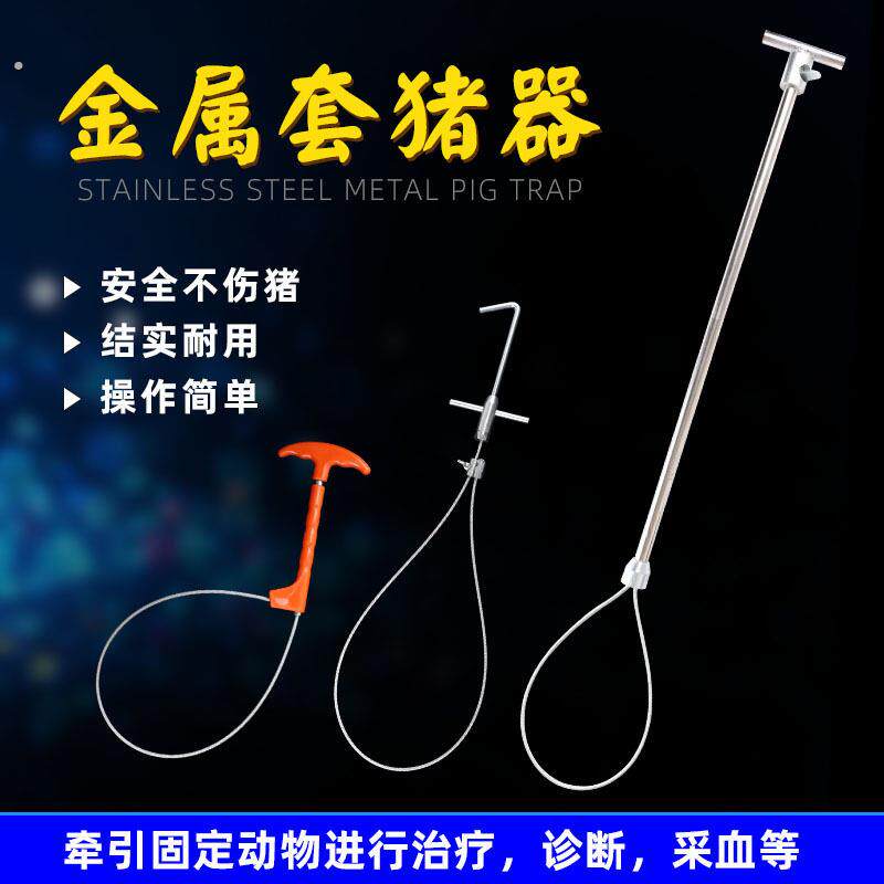 钢丝弹簧套猪器兽用猪用套绿色塑料把不锈钢丝绳子拴猪绳子保定器