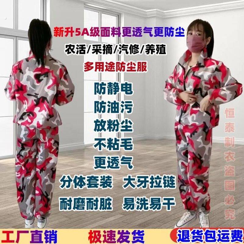 防尘工作服防油不沾毛工作服夏天薄款女士防尘服户外新款分体套装