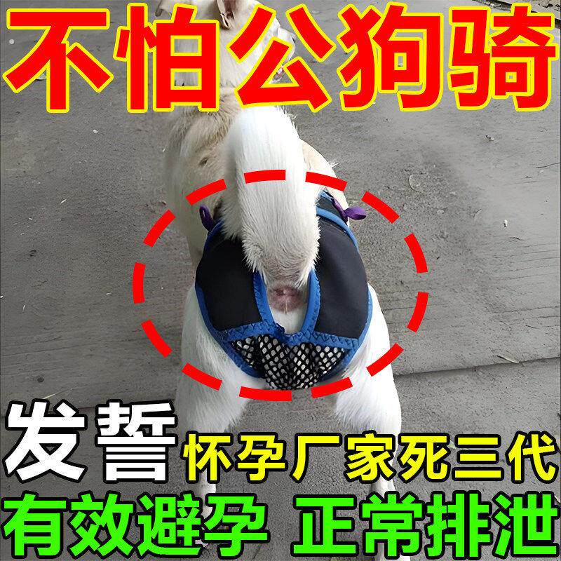 狗狗避孕裤可排泄裤防狗发情骚扰裤防交配裤生理裤母狗防交配神器