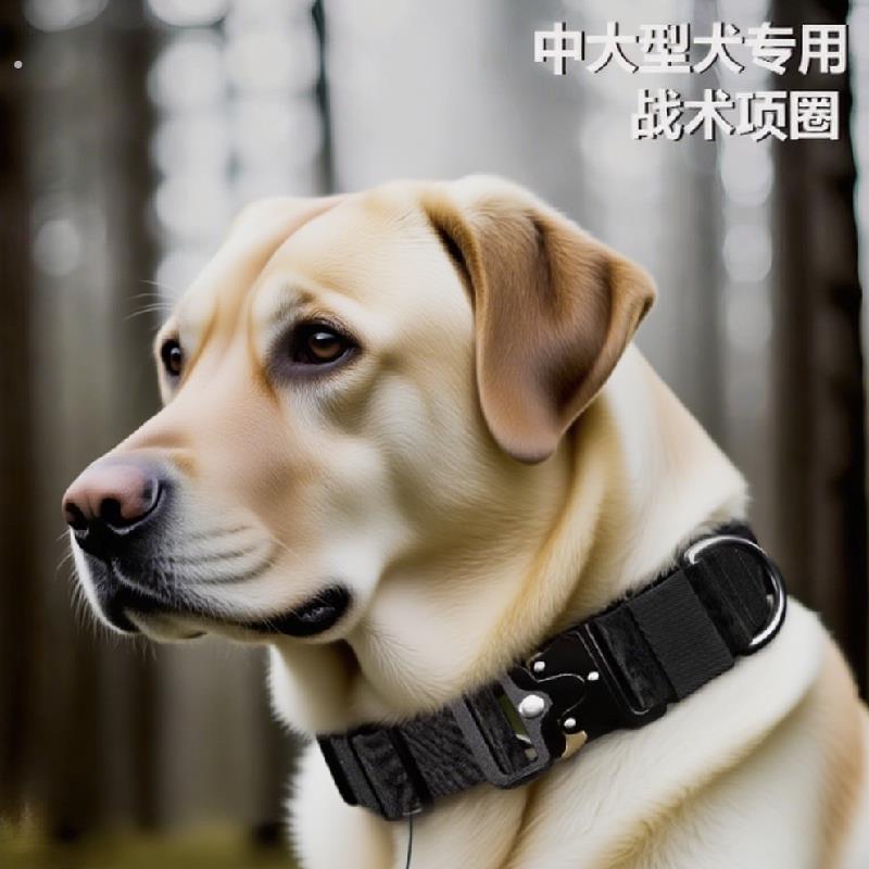 狗狗项圈脖圈中大型犬牵引绳战术脖套遛狗牵引绳专用专业装备狗炼