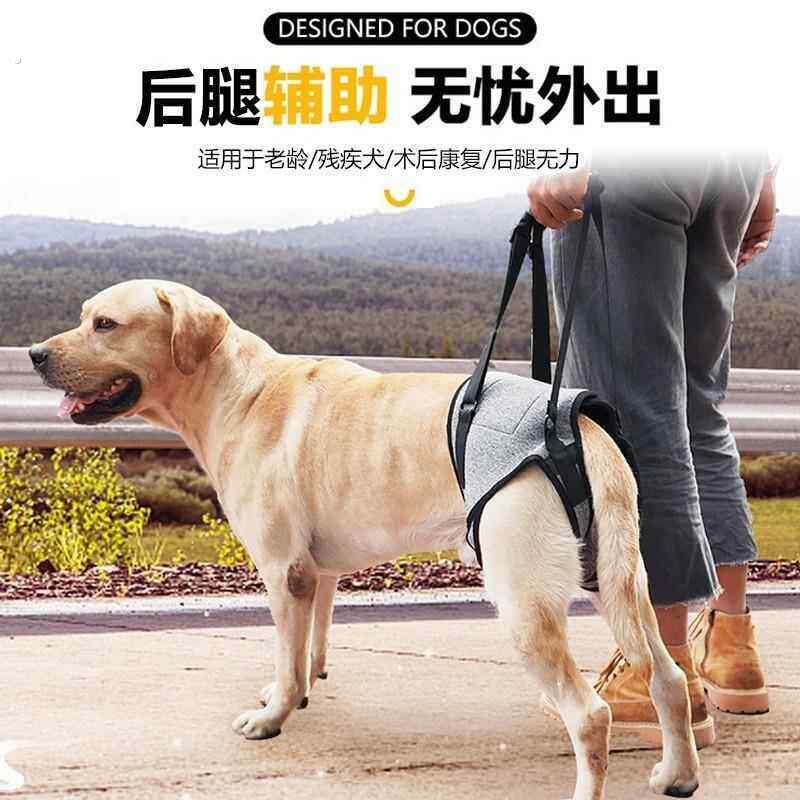 宠物狗狗后腿辅助带牵引助行上楼神器老年犬受伤康复后肢无力身心