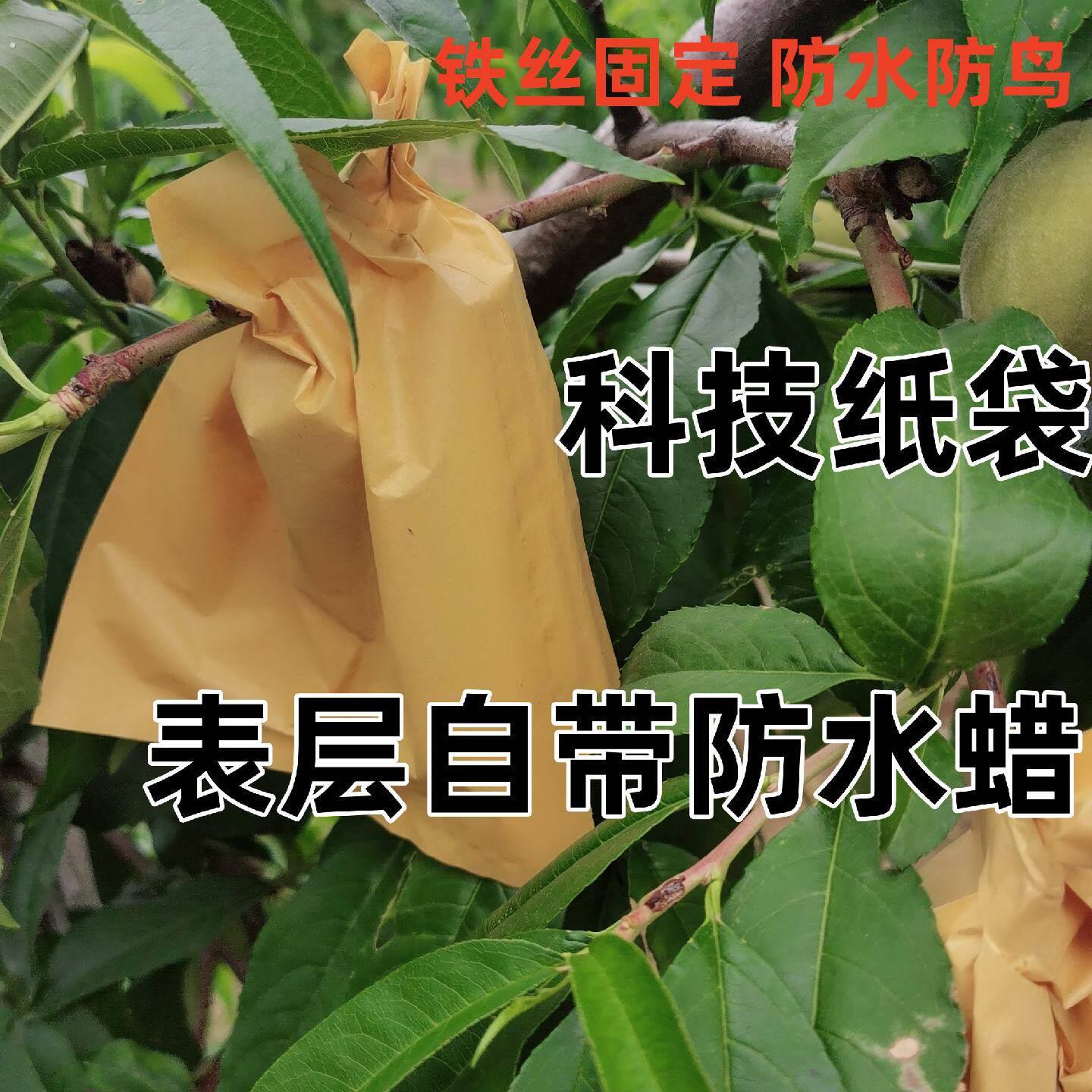果袋套袋阳山水蜜桃桃树专用袋黄桃桃子翠冠梨套袋防虫防水防鸟