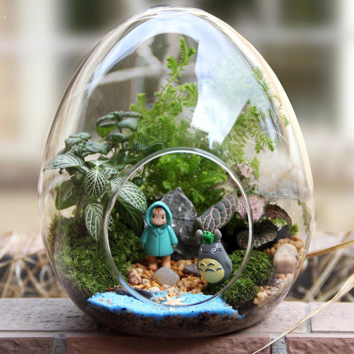 苔藓微景观创意礼品摆件绿植瓶瓶生态瓶蛋形苔藓植物小世界
