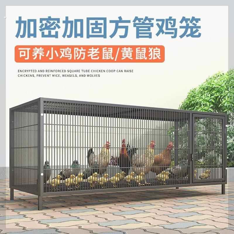 鸡下蛋的笼子家用加粗大号养殖笼折叠鸭笼鹅笼笼自动滚蛋鸡笼厂