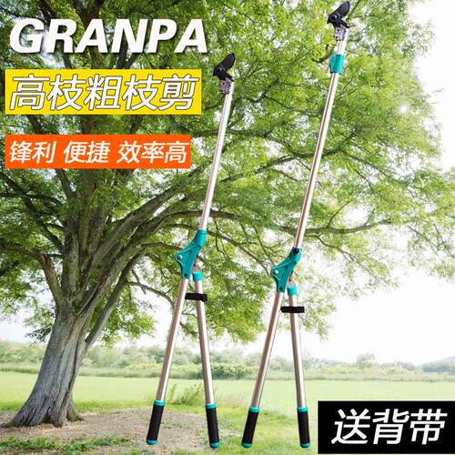 新款园艺剪刀修剪树枝工具粗枝园林大剪刀果树园艺伸缩省力树枝剪