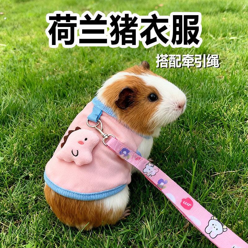 荷兰猪衣服牵引绳专用夏季透气豚鼠可爱外出宠物装扮小号服装用品