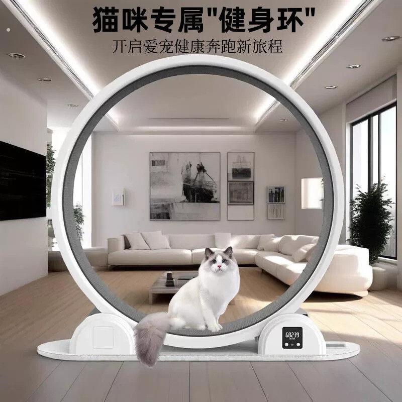 新款新款猫咪滚轮静音跑步机太阳能计数器猫爬架出口海外工厂直销