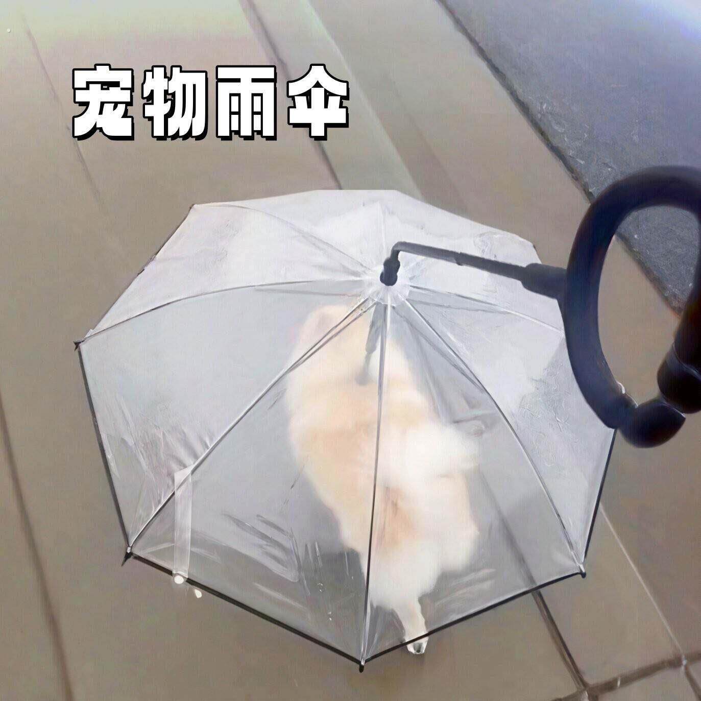 宠物雨伞狗狗牵引绳加粗可调节泰迪柯基中小型犬夏季雨天遛狗神器