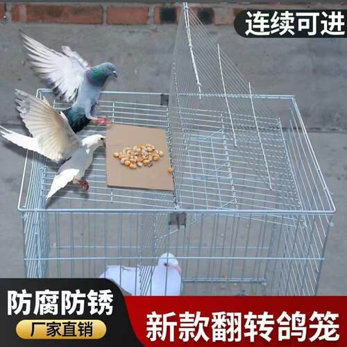 自动连续进鸽子笼加密粗防锈天落笼只进不出收鸽笼户外阳台翻转笼