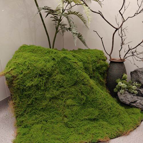 仿真草坪青苔草皮植绒椰丝苔藓墙面绿植造景装饰橱窗地面盆景展示