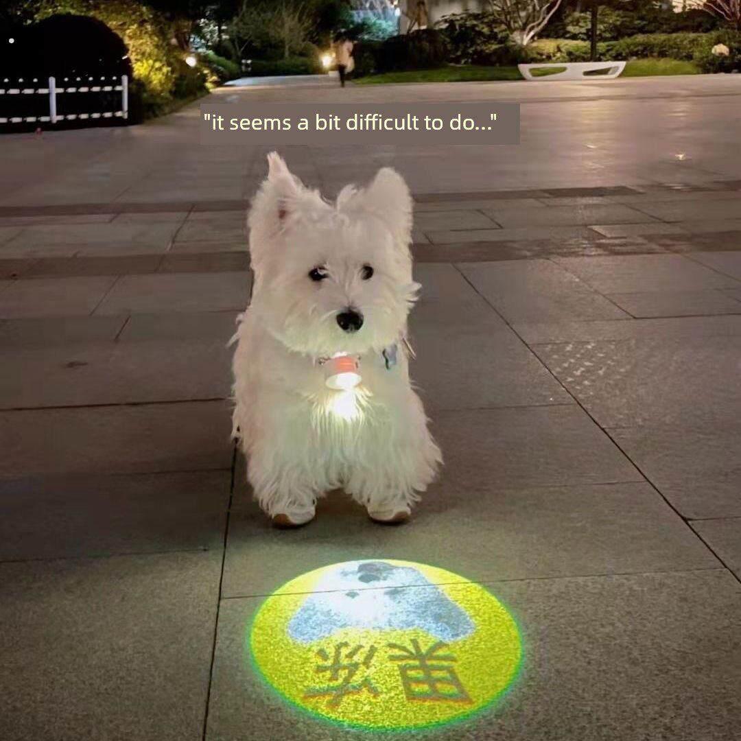 宠物夜间行走灯，夜间照明，外出防丢光，狗散步摄影照明，映射投