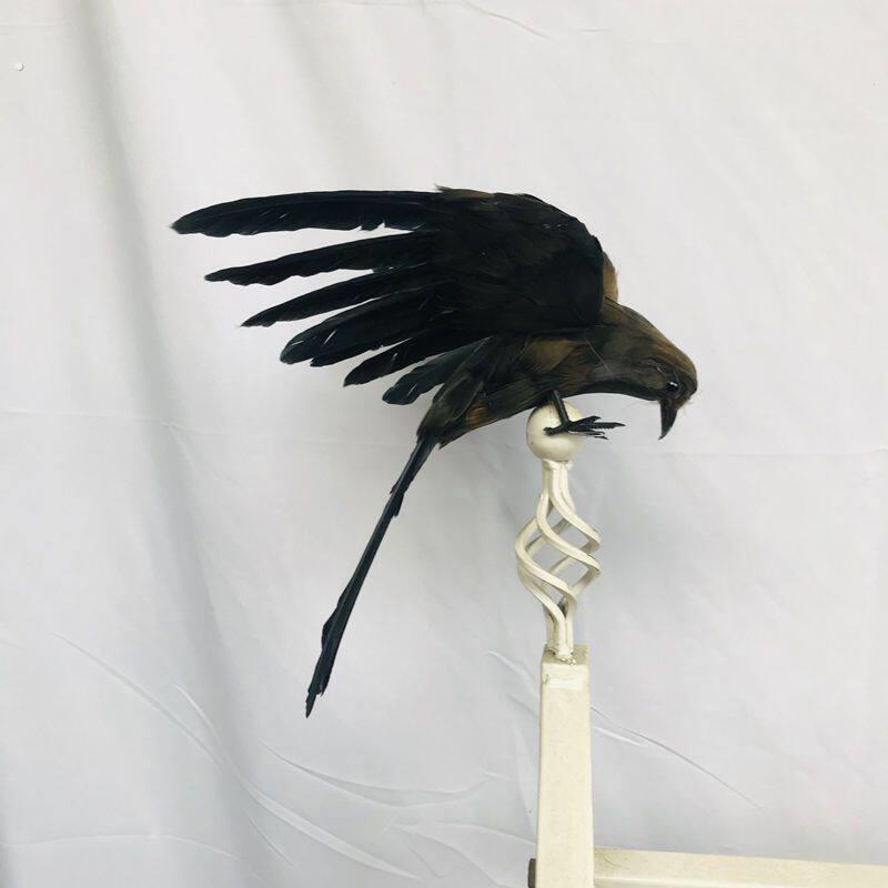 仿真乌鸦外拍摄影网红同款万圣节道具主题场景装饰品摆件羽毛工艺