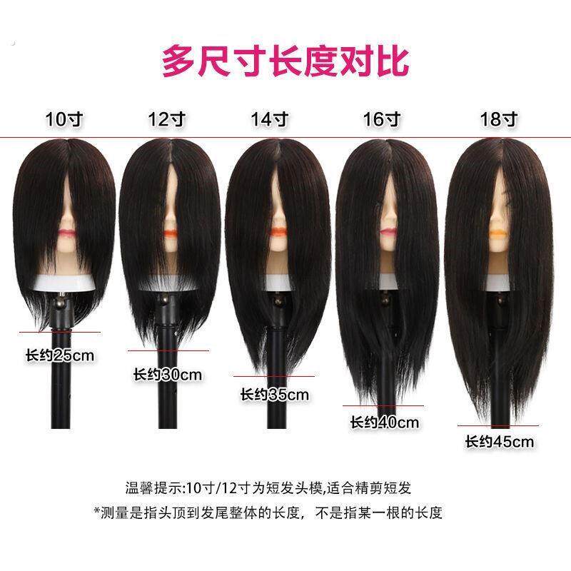 假人模型头发理发专用头模假发头模头发造型模具女士头模头模美发