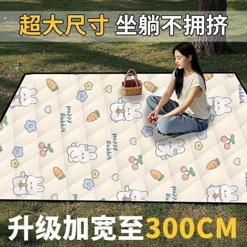野餐垫防潮垫加厚多人帐篷内专用地垫露营垫帐篷内垫防水防潮垫子