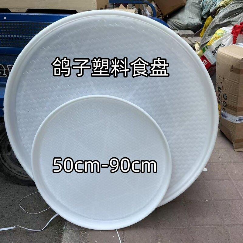 喂鸽子食盘塑料食盘鸽子喂食盘鸽子用品用具鸽子塑料食盘赛鸽食盘