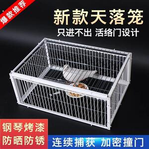 天落笼户外家用屋顶只进不出鸽子笼活络撞门信鸽自动门进鸽子神器
