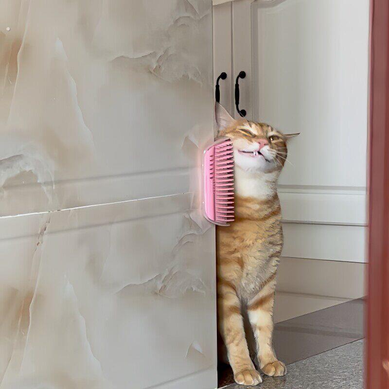 【猫猫的100个快递】墙角猫咪蹭脸器按摩痒痒神器去浮毛排梳自己