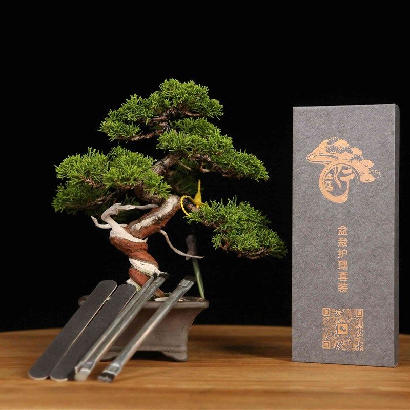 行山居  盆景树身养护套件钢丝刷打磨棒