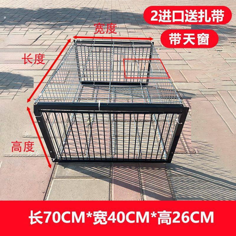 天落笼祇进不出鸽子笼加密活络门鸽笼自动门撞门户外屋顶鸽子笼子
