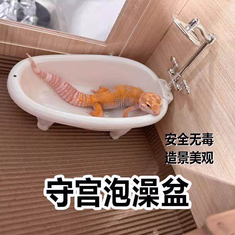 守宫水盆泡澡盆浴缸丰容睫角豹纹蜥蜴生态造景饲养缸套装爬宠用品