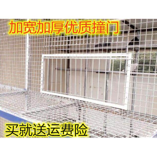 信鸽赛鸽撞门撞门用品鸽具加厚活络门活动门鸽子跳笼门鸽子活动门