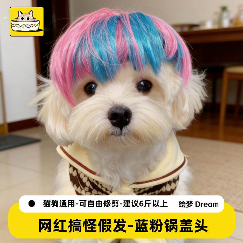 宠物假发狗狗假发套小猫咪杀马特假发搞笑头饰搞怪可爱头套装扮